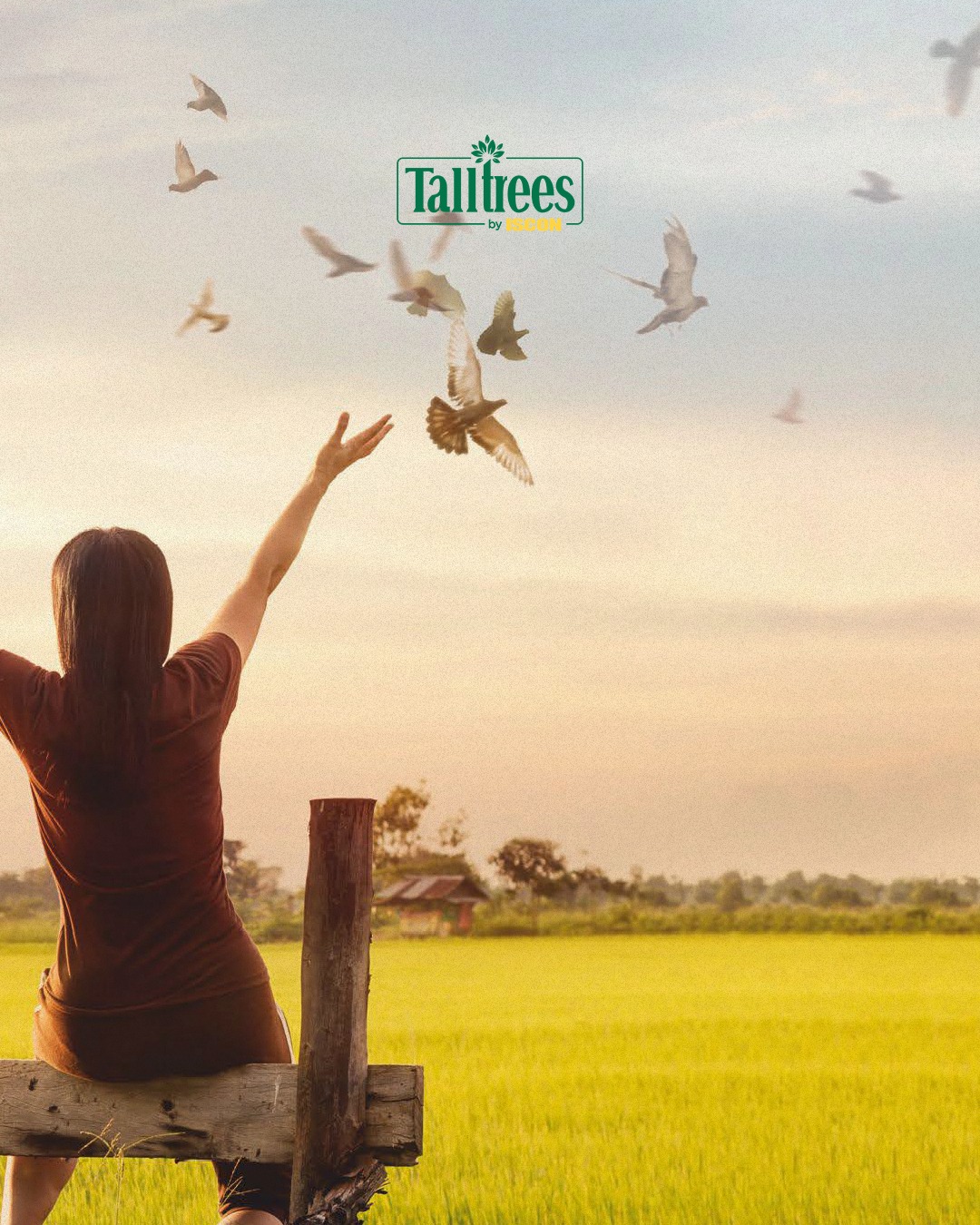 ISCON Group,  IsconTallTrees, NatureInspiredLiving, SerenityAmongTheTrees, GreenSanctuary, ElevatedLiving, PeacefulAbode, LimitlessHorizon, TranquilSpaces, UrbanOasis, SoarWithNature